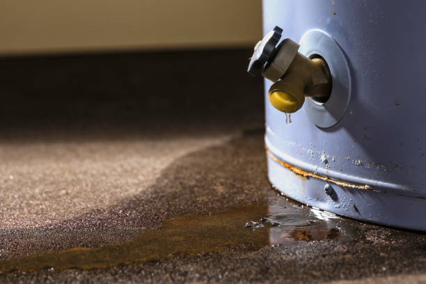 Best Ceiling water damage repair  in Holdrege, NE