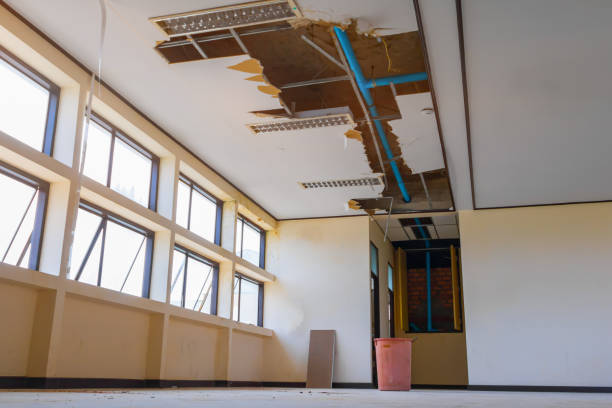 Best Water damage cleanup near me  in Holdrege, NE