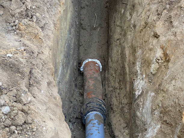 Best Sewage cleanup and water damage restoration  in Holdrege, NE