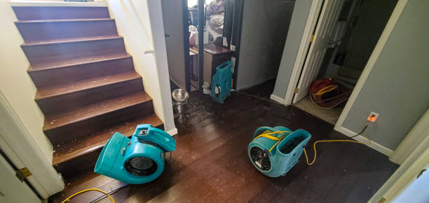 Best Carpet water damage restoration  in Holdrege, NE
