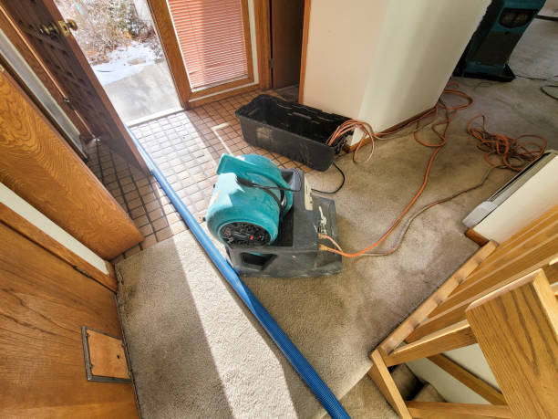 Best Water damage restoration near me  in Holdrege, NE