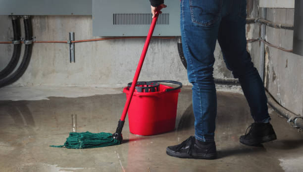 Best Water damage contractors near me  in Holdrege, NE