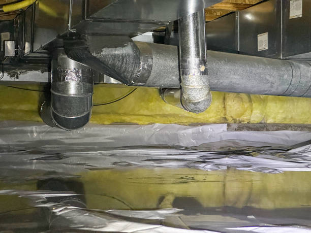 Best Flood restoration services  in Holdrege, NE