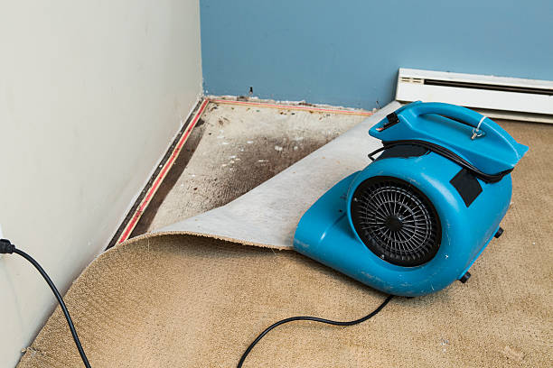 Best 24/7 water damage repair  in Holdrege, NE